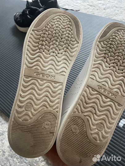 Кеды geox p40