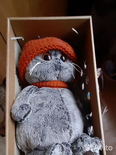 Котик Басик