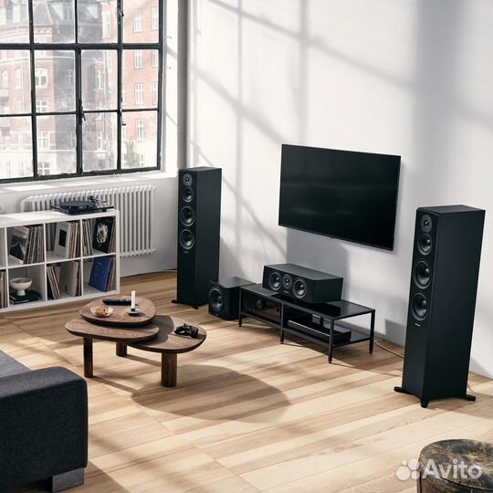 Dynaudio Emit 50 Walnut wood