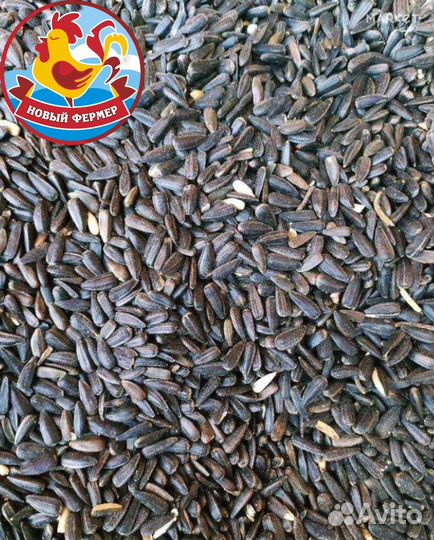 Семечка кормовая