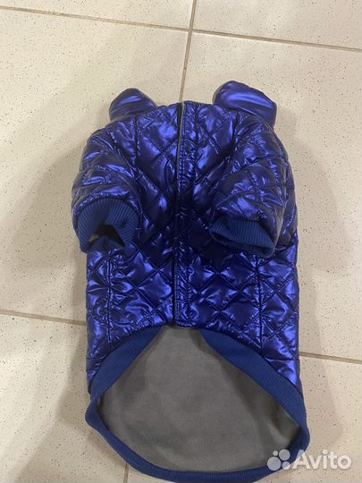 Куртка для собак мелких пород