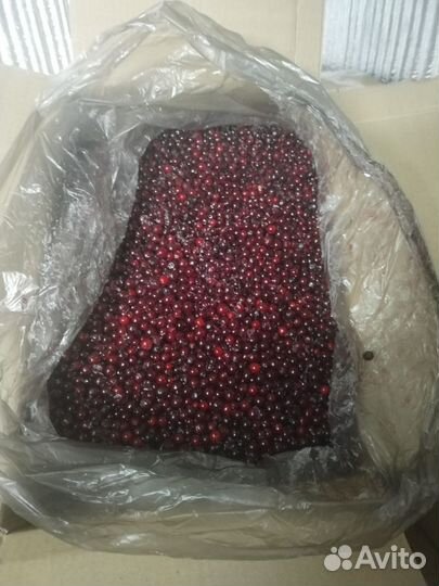 Орех Клюква Брусника Св.Урож. В Наличии по адресу