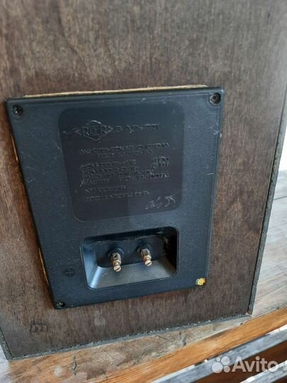 Акустические колонки радиотехника 6 ас-221