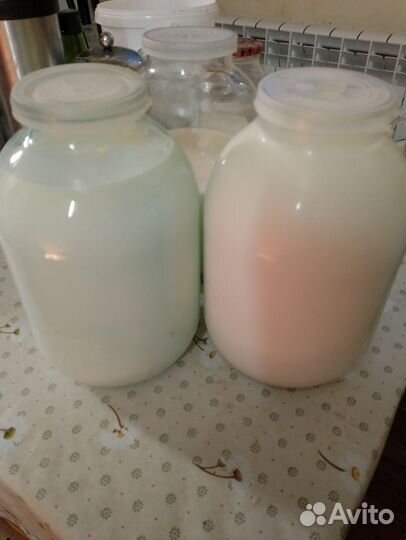 Молоко коровье домашнее