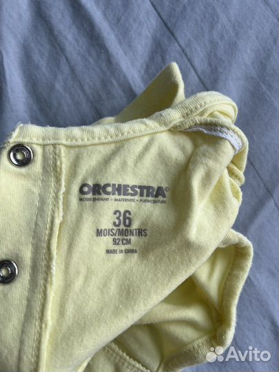 Боди летнее