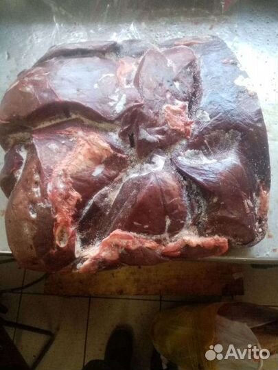 Печень говяжья-на корм для собак и кошек