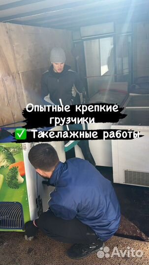 Грузоперевозки/Грузчики/Переезд/Вывоз Мусора