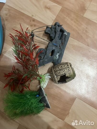 Аквариум на 20 литров