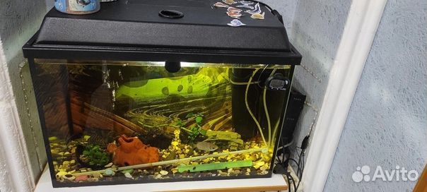 Аквариум