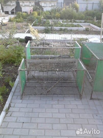 Клетки для кур и перепелов