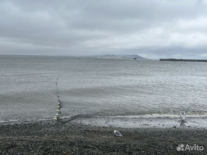 Красная икра Кета, 5минутка. Чукотка, 5-6.08. 23г