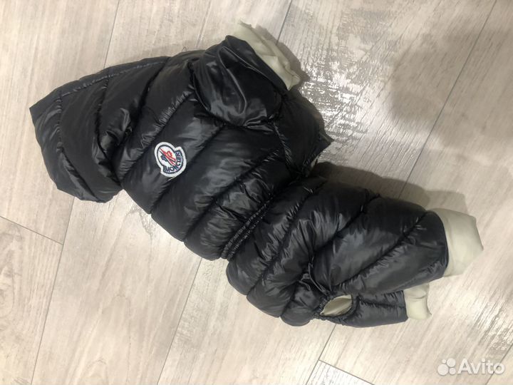 Комбинезон для маленькой собаки 32