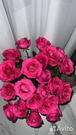 Цветы оптом розы