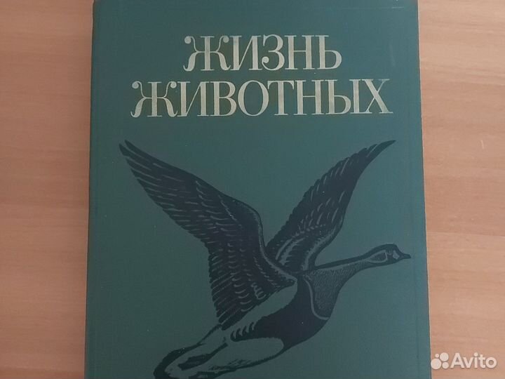 Книга, Жизнь животных, 6 том, Птицы