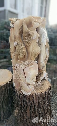 Рубец говяжий очищенный