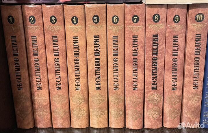 Собрание сочинений Салтыков-Щедрин (10 томов)