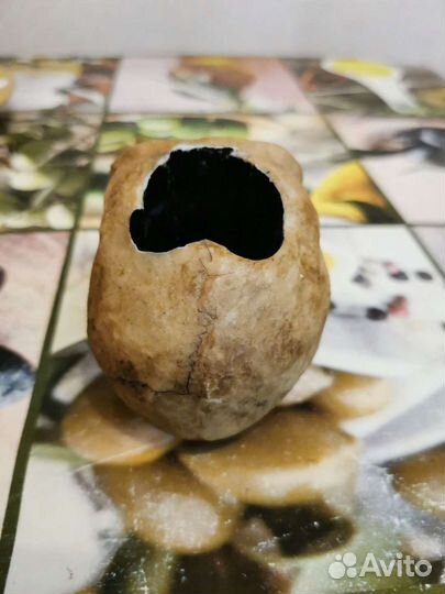 Череп под ручки/пепельница