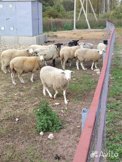 Фермерско-рекреационный комплекс 