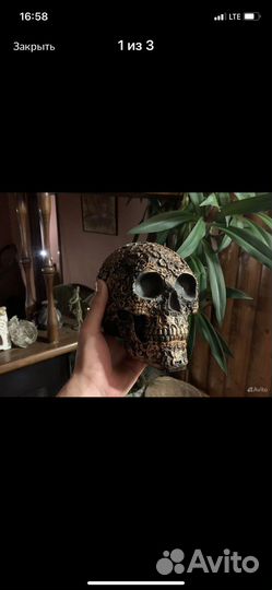 Череп интерьерный