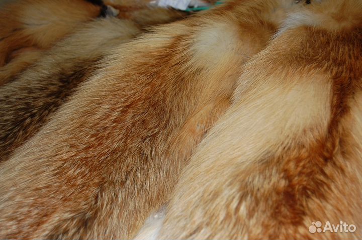 Продаю шкуры лисы.выделка меха