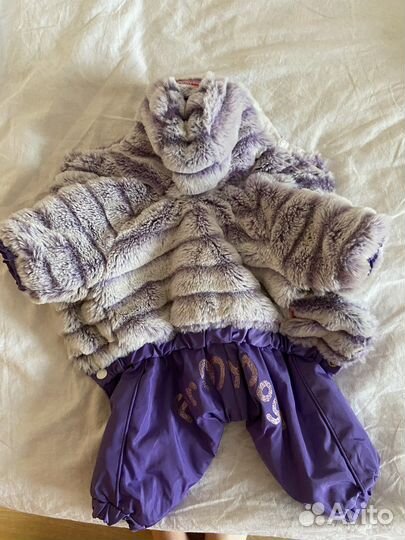 Зимний костюм для собак