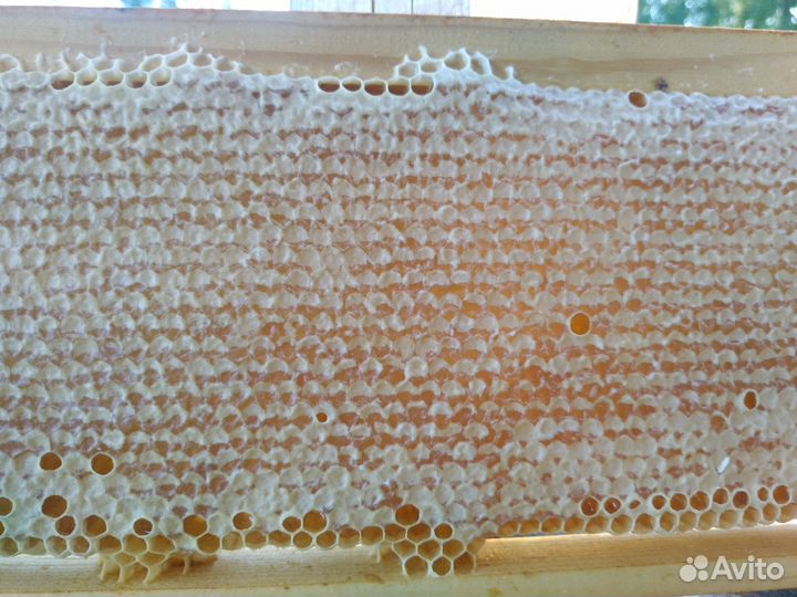 Сотовый мед