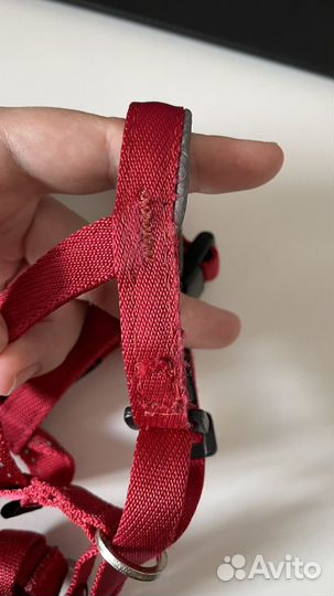 Недоуздок для собак halti красный, Size 2