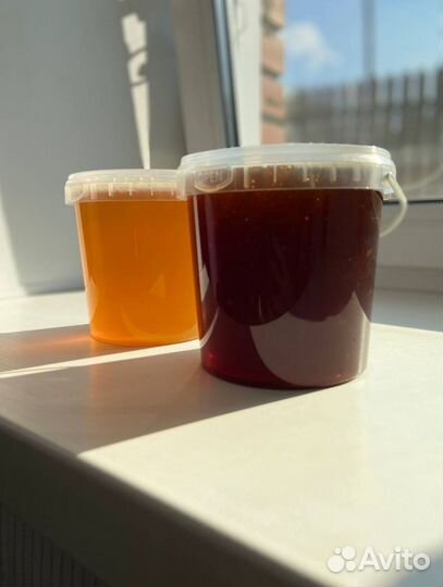 Алтайский мед оптом 2023