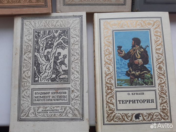 Книги бпнф рамка