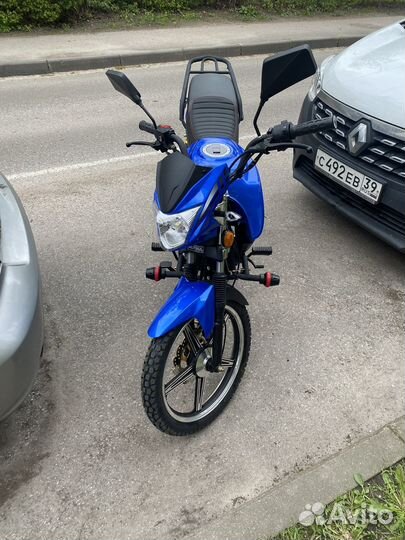 Альфа чампион