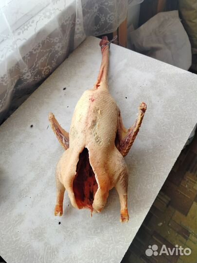 Гусиное мясо