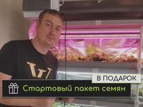 Стеллаж для гидропоники