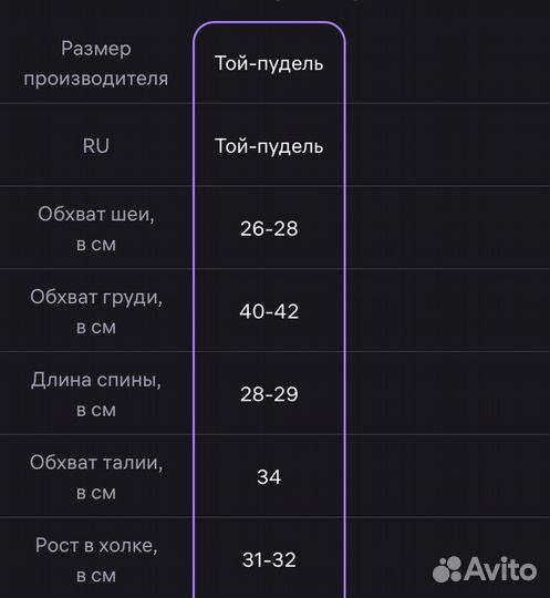 Дождевик из мембраны для кобеля той-пудель