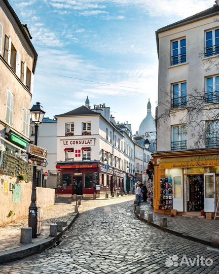 Тур во Францию, Диснейленд, Париж, Нормандию,Замки