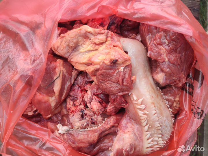 Говяжья обрезь для собак