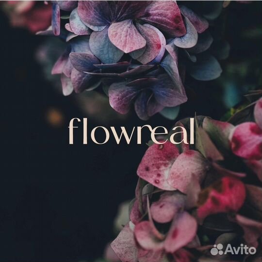 Дизайнер / Логотип / Таплинк / Фирменный стиль