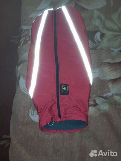 Одежда для собак