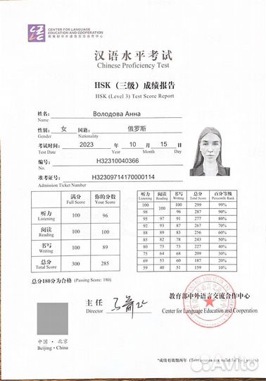 Китайский язык