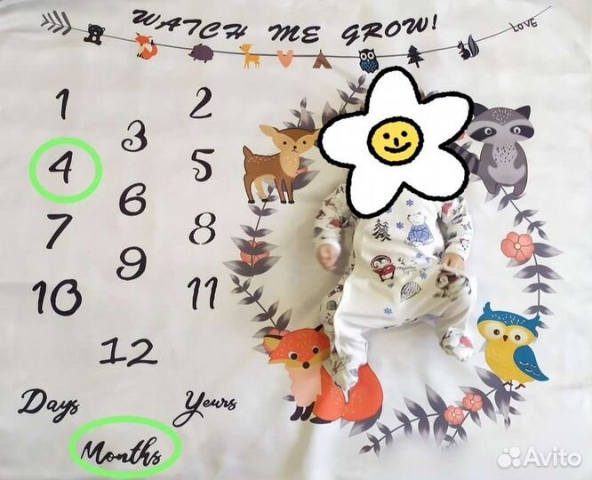 Плед для фото малыша по месяцам