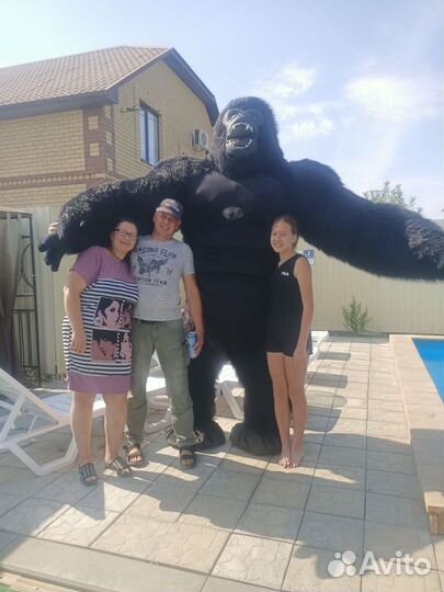 Белый Мишка поздравление,Чебурашка,Панда,Лиса,Конг