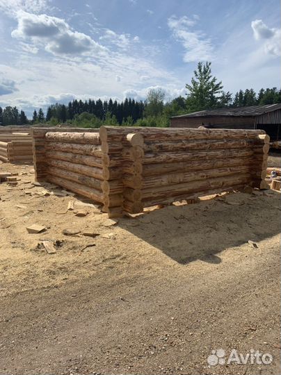 Срубы в чашу