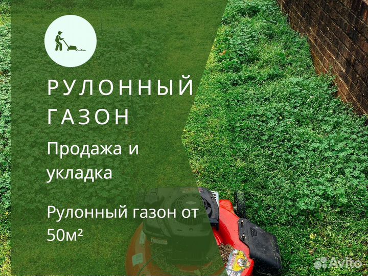 Продажа рулонного газона под ключ