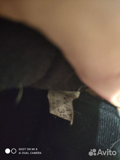 Лыжи tisa sport step