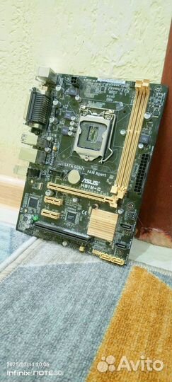 Материнская плата asus H81M C