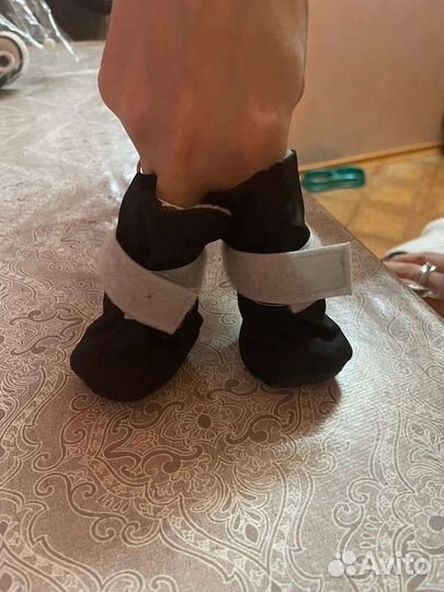 Ботинки для собак