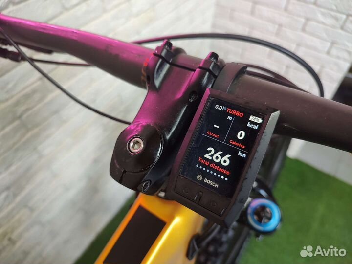 Moustache Samedi 29 2022