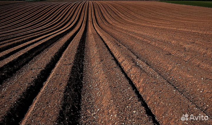 Земля / Чернозем / Грунт плодородный