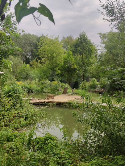 Участок 16 сот. (ИЖС)