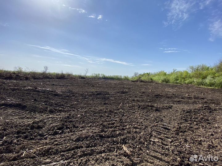 Раскорчевка участков, планировка под посев