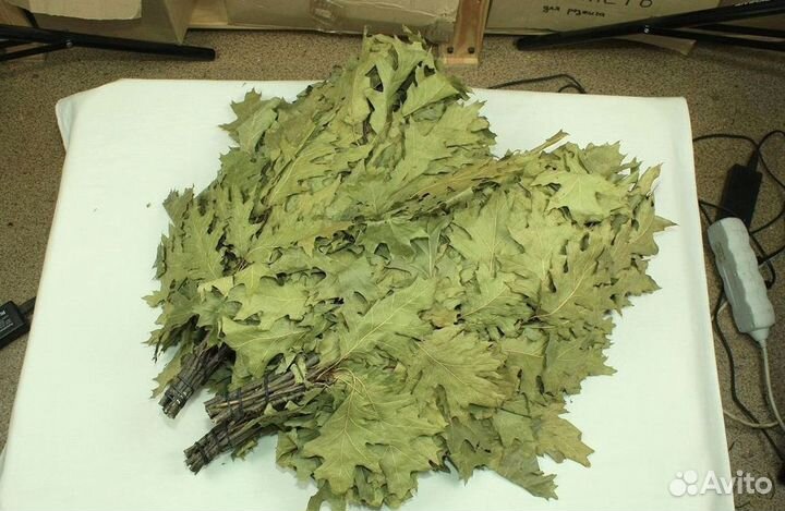 Веники для бани, веник из дуба канадского